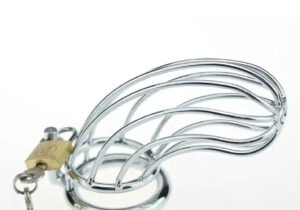 Jaula De Castidad 04